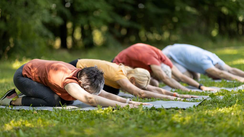 A small group of older adults doing tai chi together in a park on a calm morning